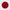 THE ROUNDIE BURGUNDY
