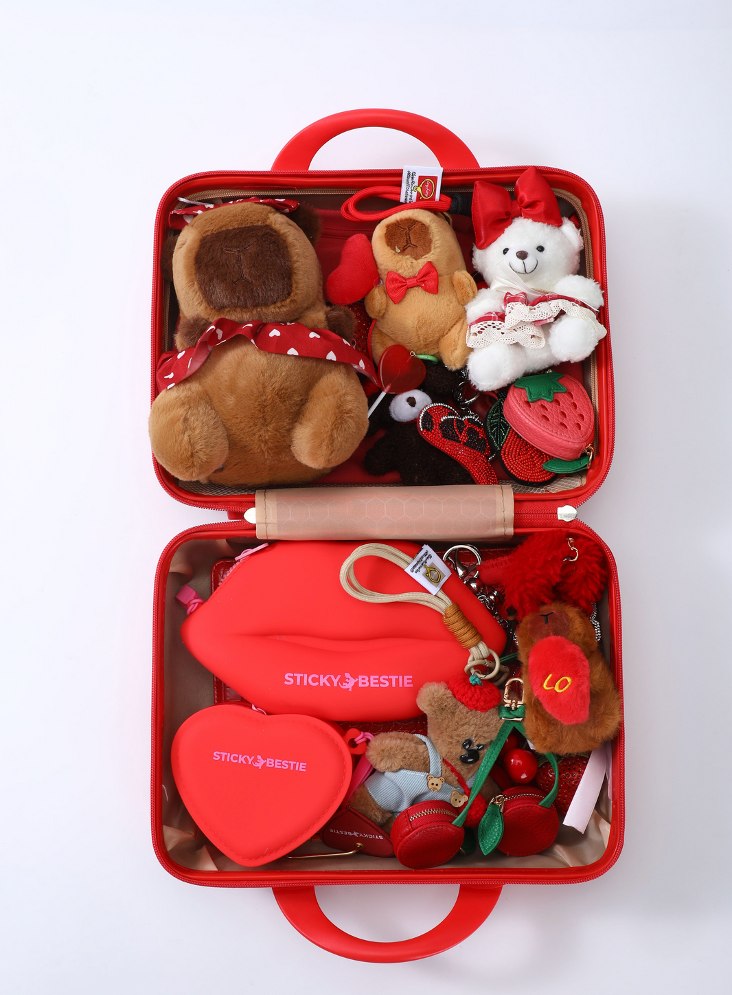 TRAVEL / BEAUTY CASE